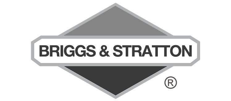 briggs-and-stratton
