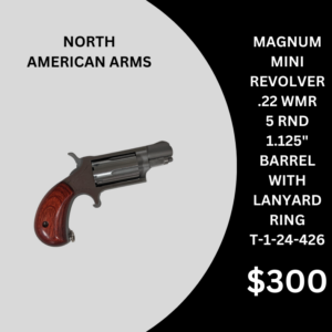 NORTH AMERICAN ARMS